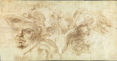 Studies of Heads by Francesco Brizio